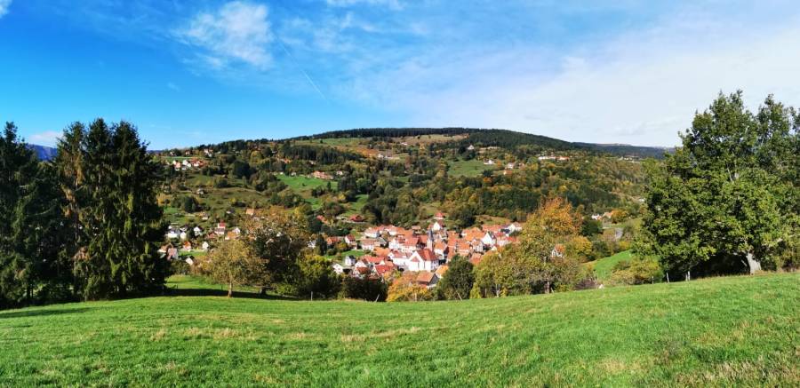 Vue de Soultzeren